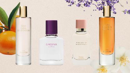 Collection of the best Zara perfumes on a beige background with images of oranges, jasmine and lavender