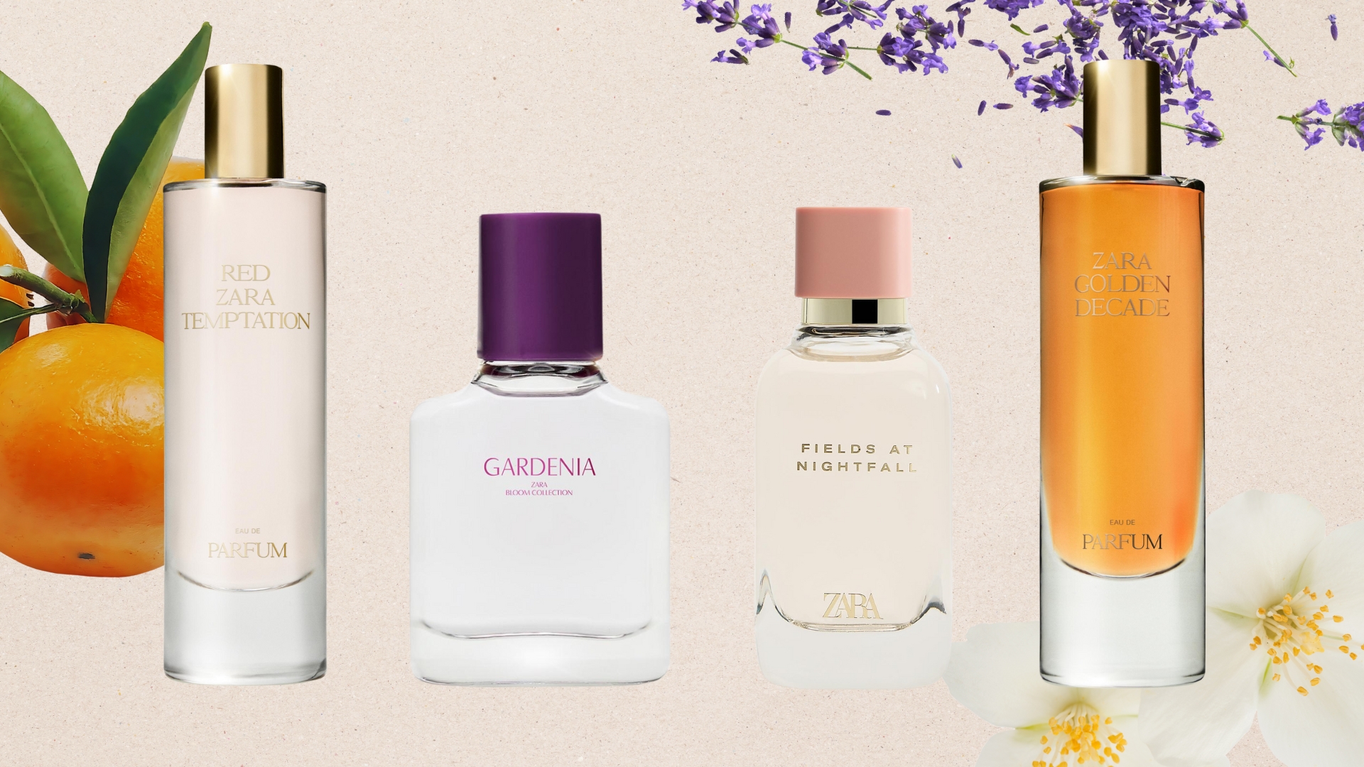 Collection of the best Zara perfumes on a beige background with images of oranges, jasmine and lavender