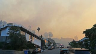 Wildfire smoke hangs in the air above a suburban neighborhood with palm trees
