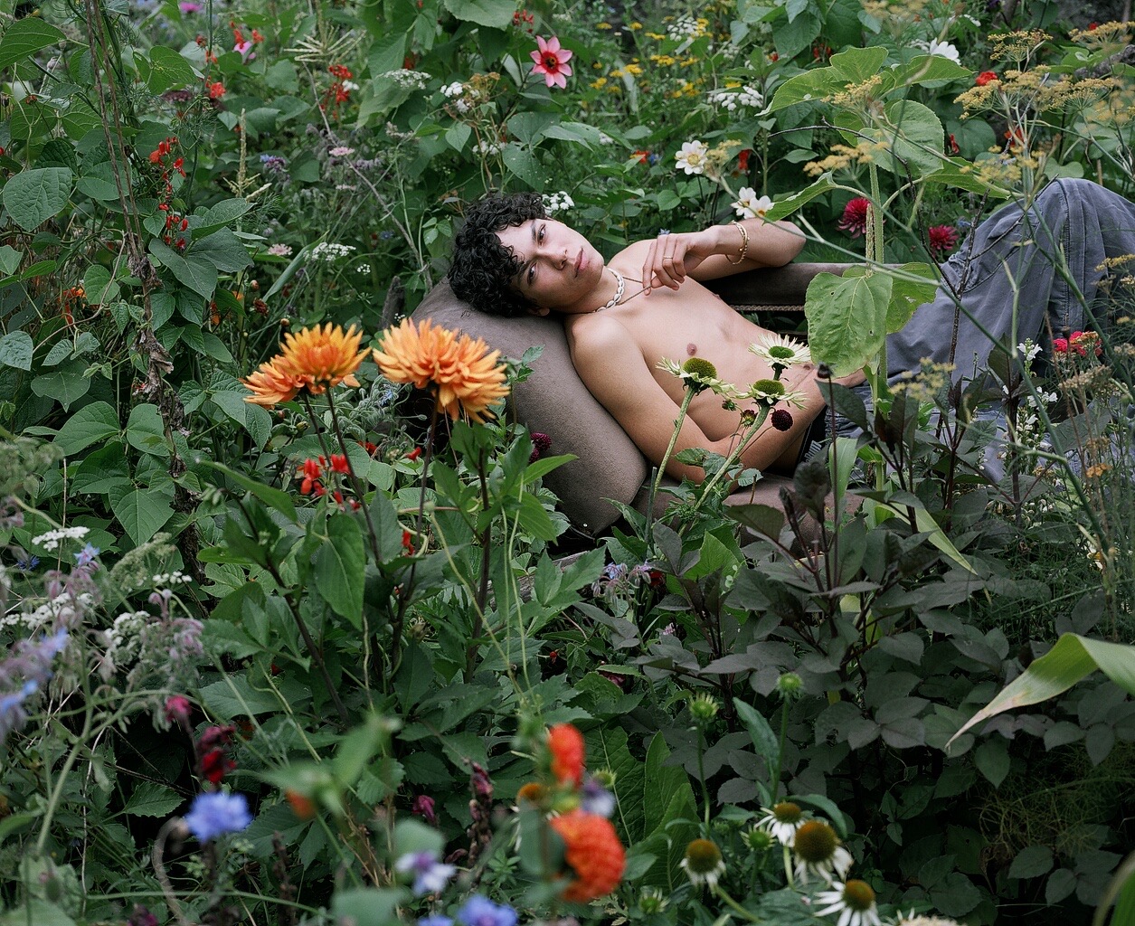 people in garden
