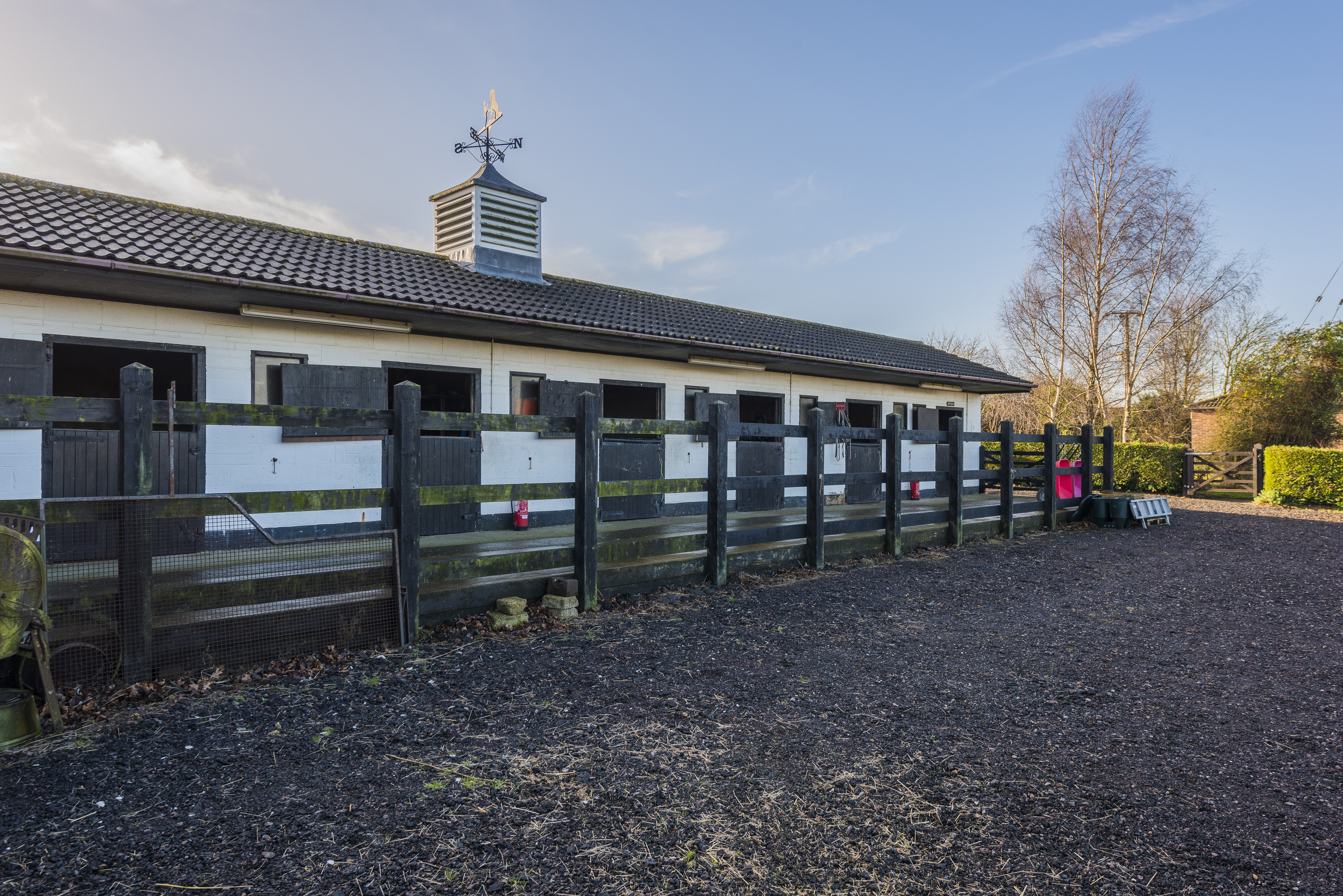 Grafham Paddocks ph15