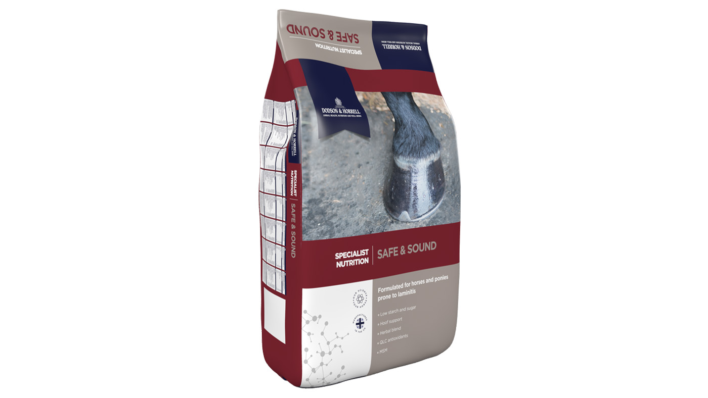 Dodson &amp;amp; Horrell Safe &amp;amp; Sound