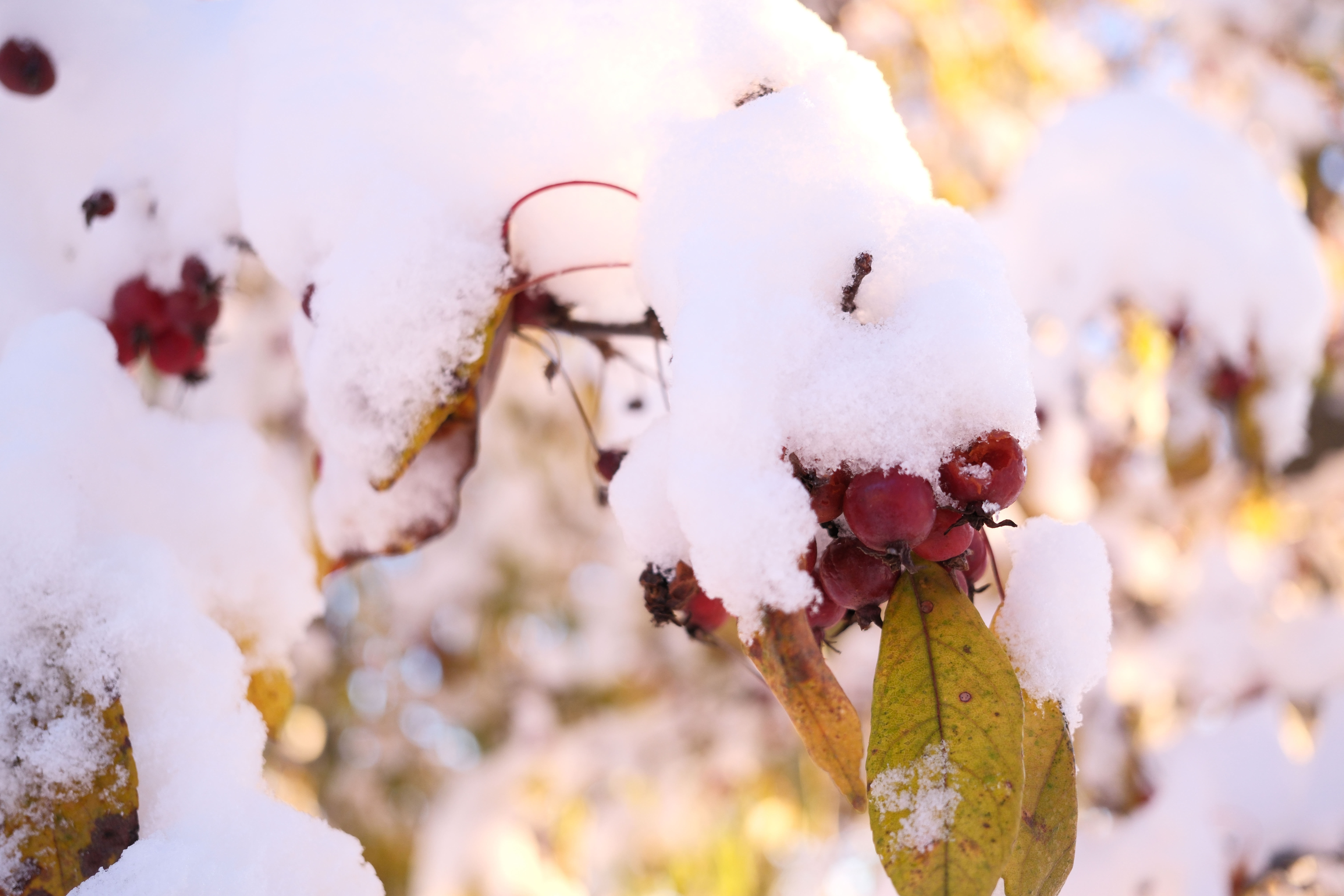 A photograph taken with the Fujifilm XF 23mm f/2.8 R WR and the X-E5