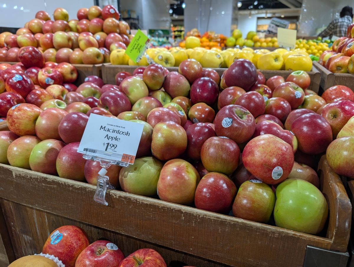 Google Pixel 9 Pro XL colors sample.