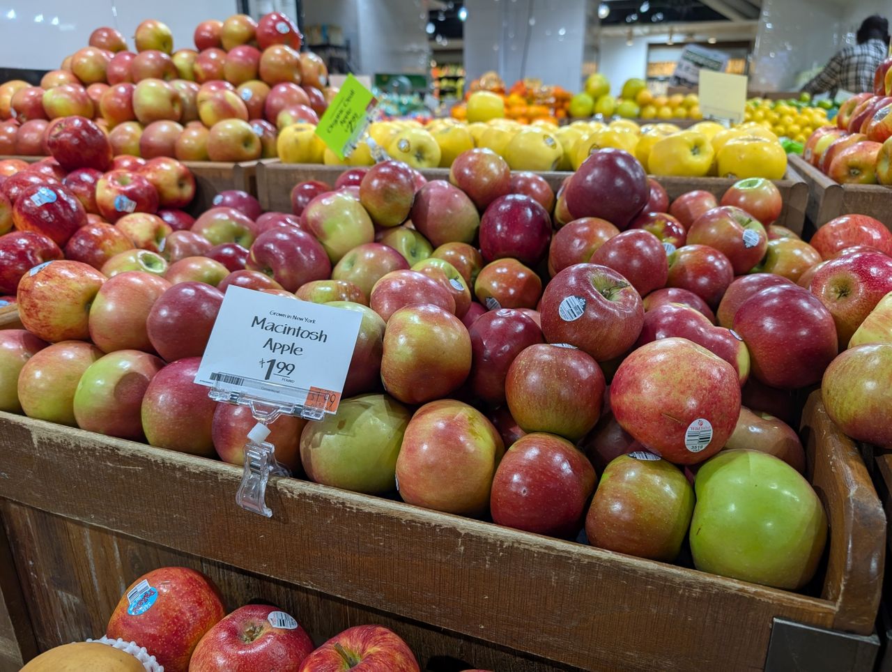 Google Pixel 9 Pro XL colors sample.