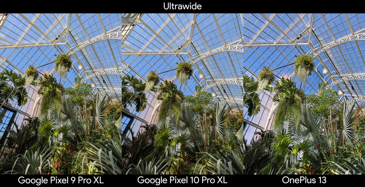 Comparing an ultrawide photo of a greenhouse between the Google Pixel 10 Pro XL, Google Pixel 9 Pro XL, and OnePlus 13