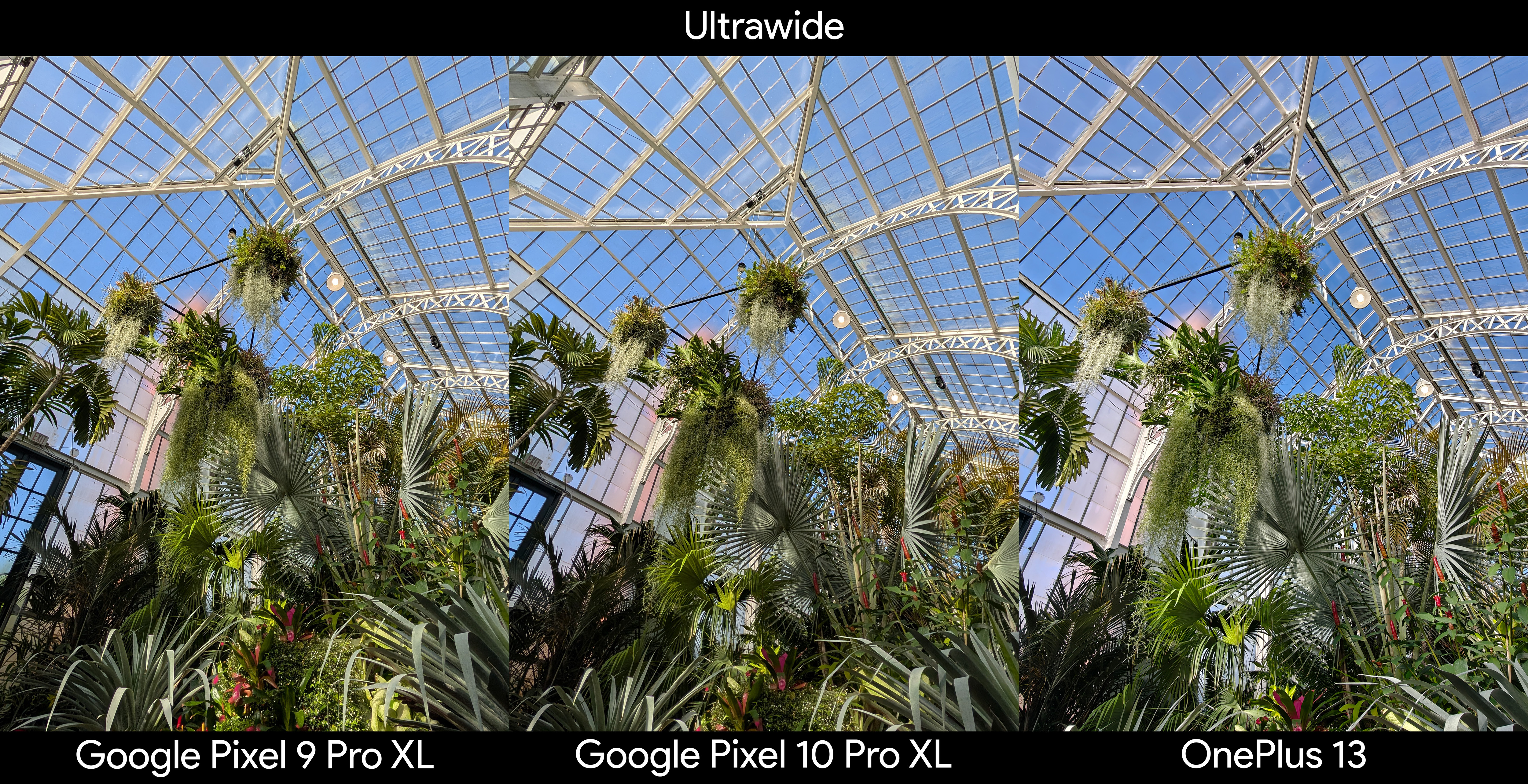 Comparing an ultrawide photo of a greenhouse between the Google Pixel 10 Pro XL, Google Pixel 9 Pro XL, and OnePlus 13