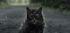 The 'Pet Sematary' premiere went down VERY well with fans