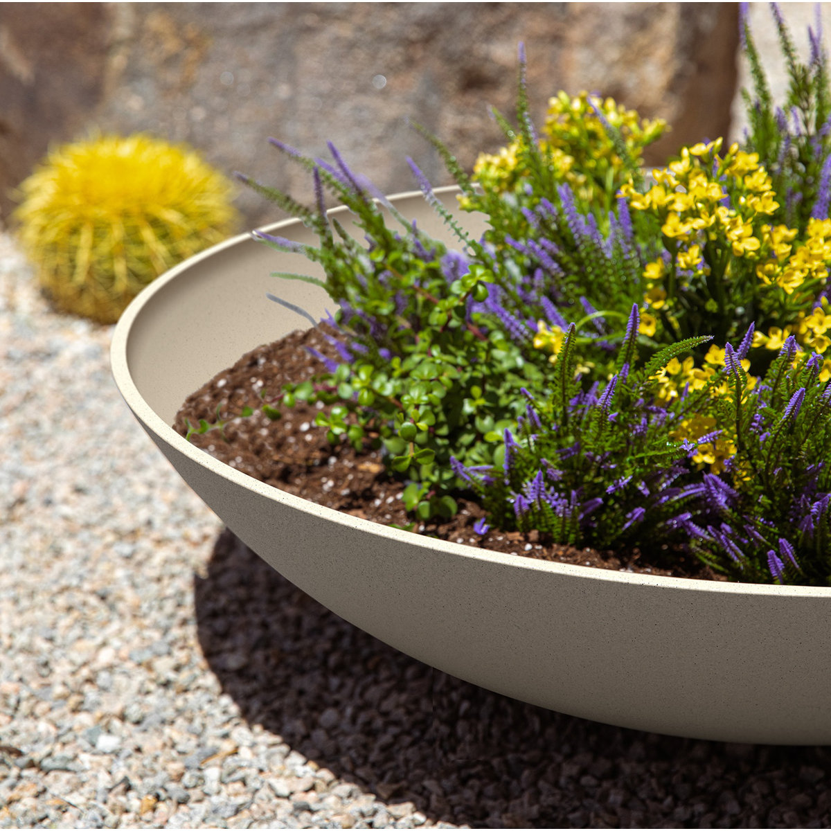 Mercury Row&amp;reg; Pure Series Lane Bowl Planter &amp;amp; Reviews | Wayfair