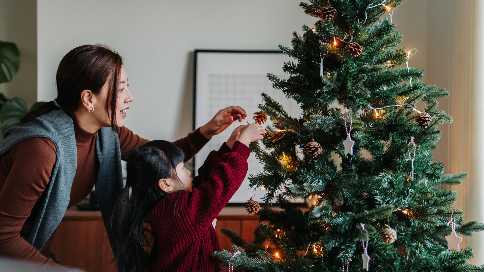 How long do Christmas trees last and which variety is best Woman & Home