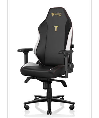 Best gaming chairs: Secretlab Titan Evo 2022