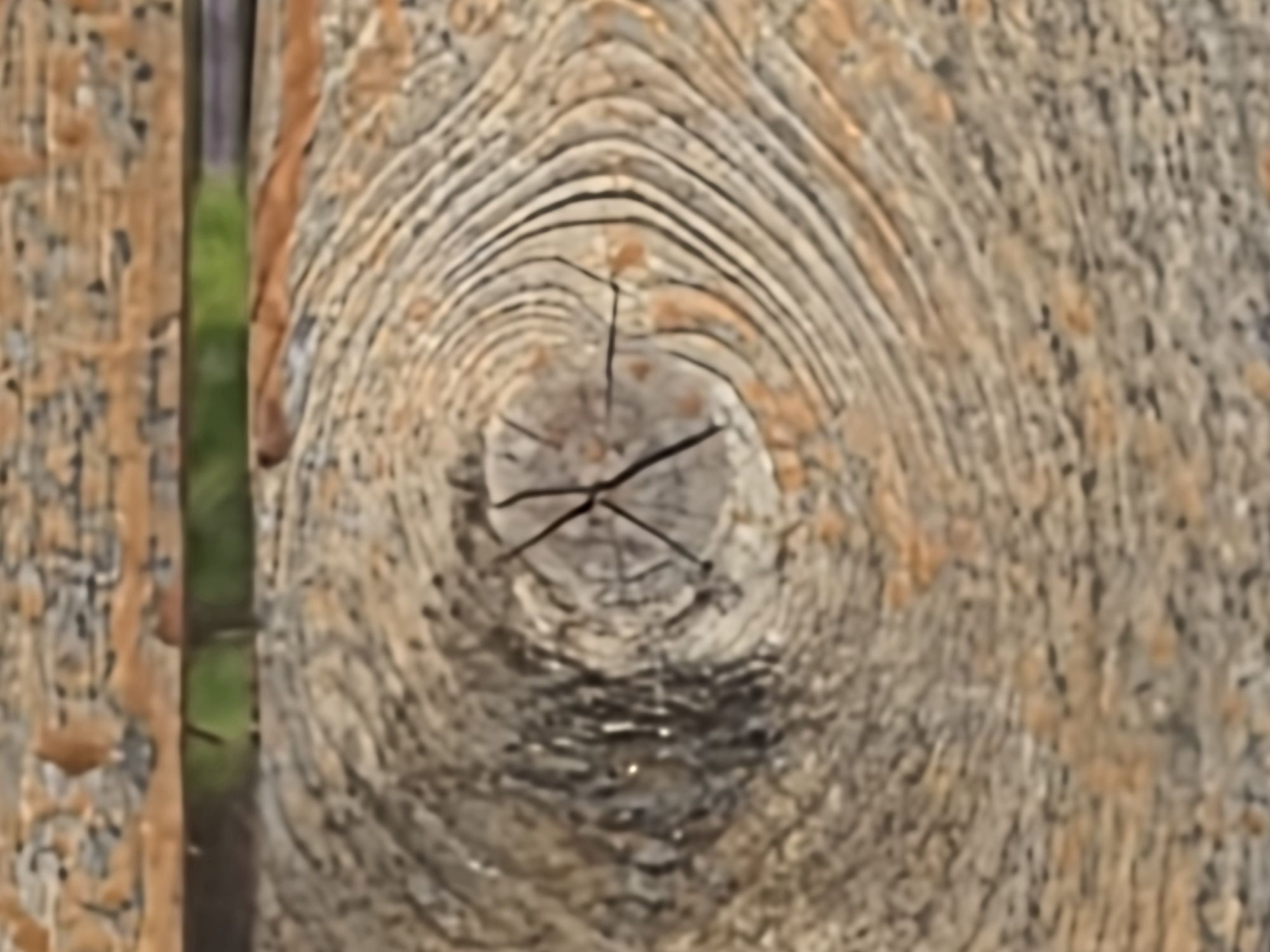 Galaxy S26 Ultra 100x sample.