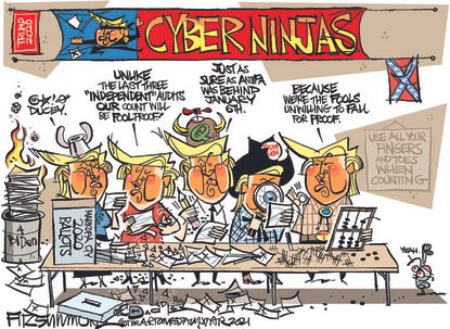 Political Cartoon U.S. arizona recount trump