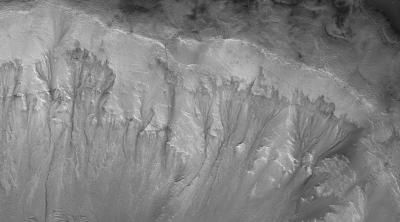 Dark streaks known as recurring slope lineae (RSL) on the walls of Mars’ Palikir Crater, as seen by NASA’s Mars Reconnaissance Orbiter. RSL streaks may be evidence of liquid water.