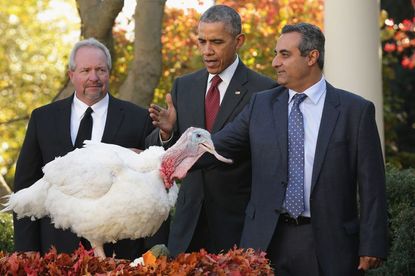 The President always pardons a turkey on Thanksgiving. 