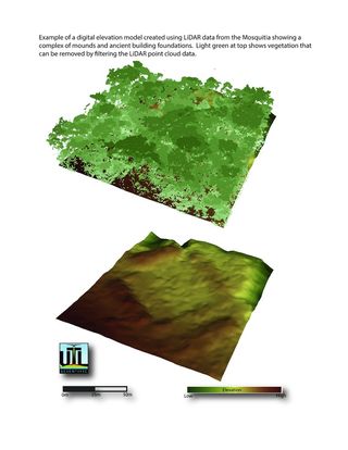 Square structures may mark the foundations of ancient buildings in the Honduran rainforest.