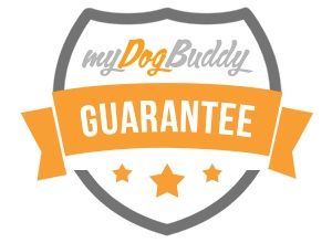 Find dogsitters online