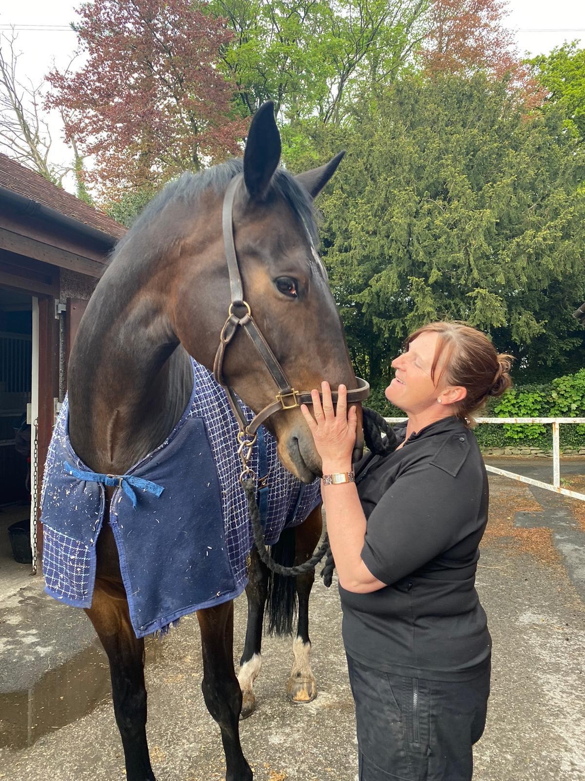 Lancashire Police horse