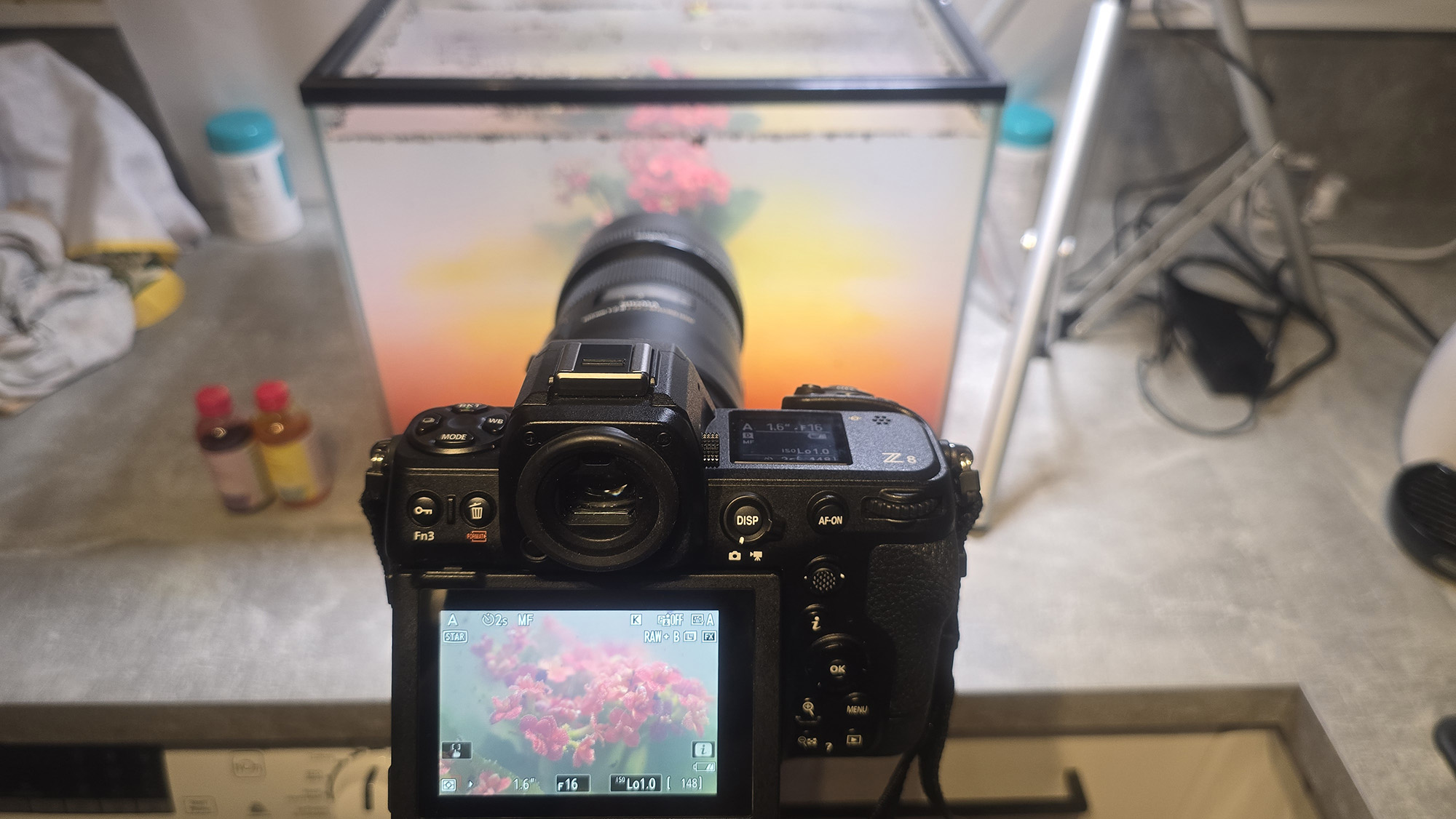 Behind the scenes shot showing the camera and fish tank with submerged flowers