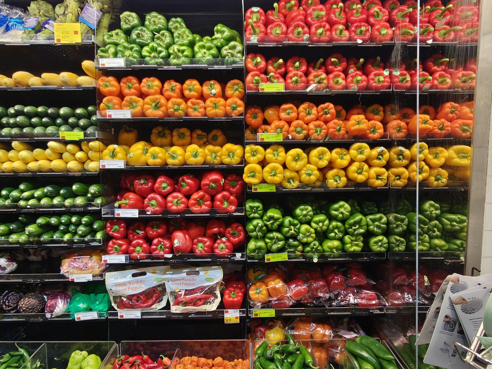Motorola Razr Ultra 2025 camera sample.