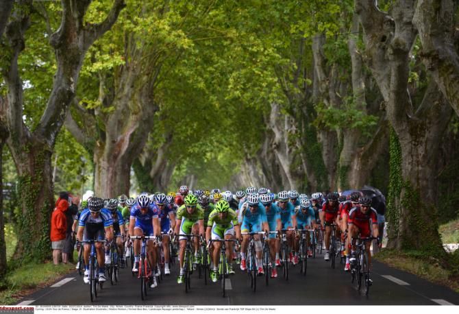 The peloton makes full use of the width of the road