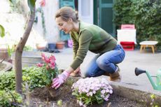 Gardening therapy