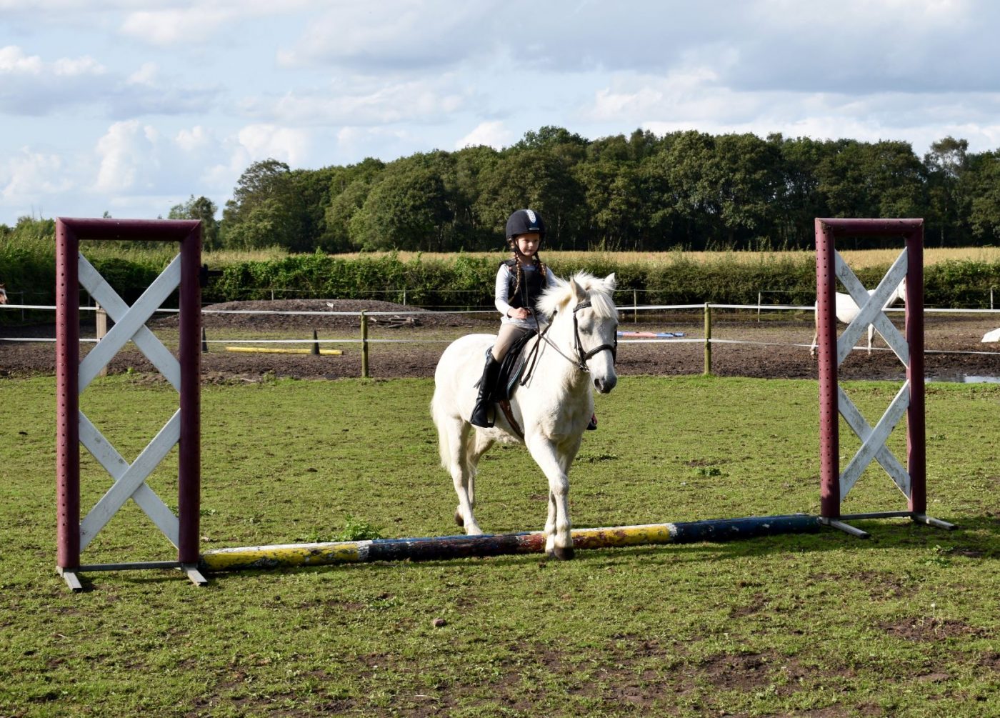 baldrick-1-e1566387450687.jpg