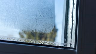 Condensation between window panes