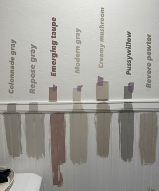 Choosing paint as part of beadboard installation