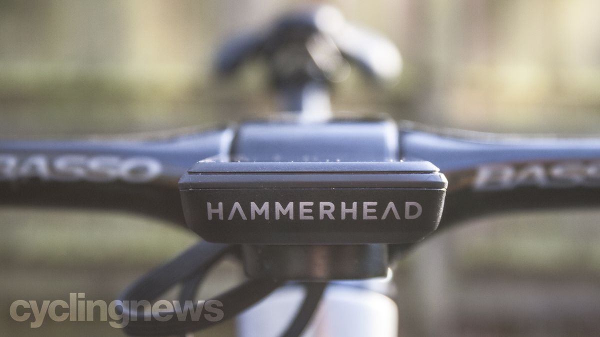 Hammerhead Karoo 2