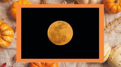 September's harvest moon: What to know