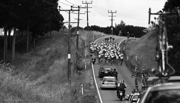 The peloton rolls through the Manawatu countryside on stage 4