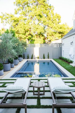 backyard with swimming pool and potted plants olive trees by Kate Anne Designs