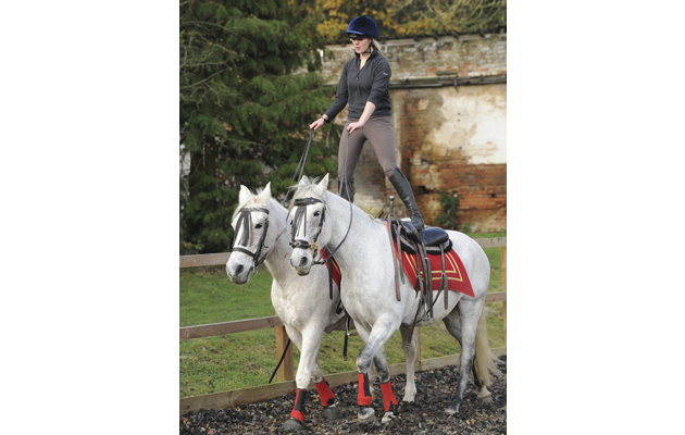 Stunt-riding-2.jpg
