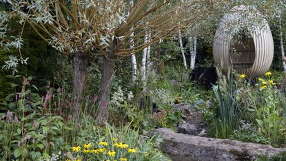 Yeo Valley organic garden designed by Chelsea Flower Show