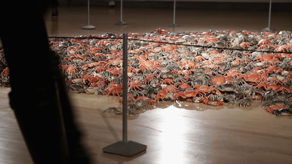 Ai Weiwei