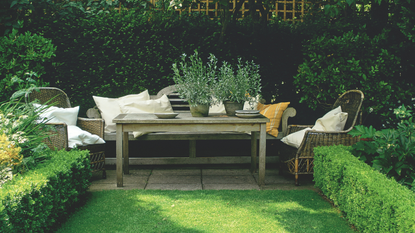 Garden bench and chairs in luscious green garden