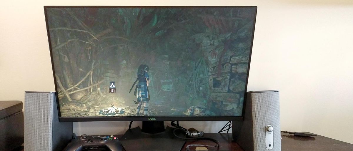 Dell 24 Gaming Monitor S2421HGF review