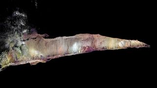 A digitally produced cross section of the cave holding the infant burial.