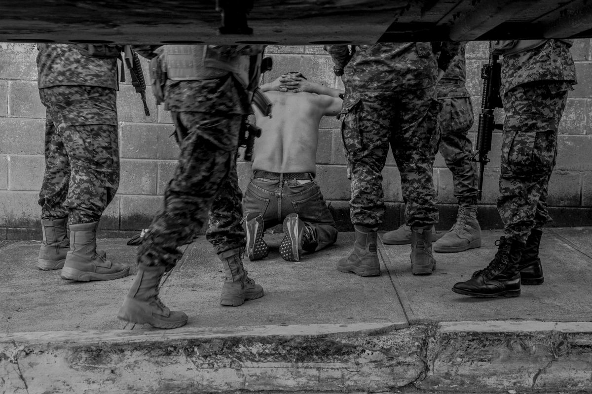 A winning image from the World Press Photo awards