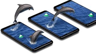 Dolphins jump between smartphones displaying the sea on screen