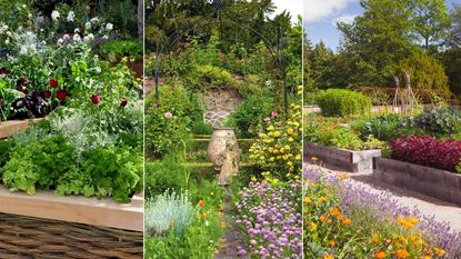 three ideas for planning a kitchen garden