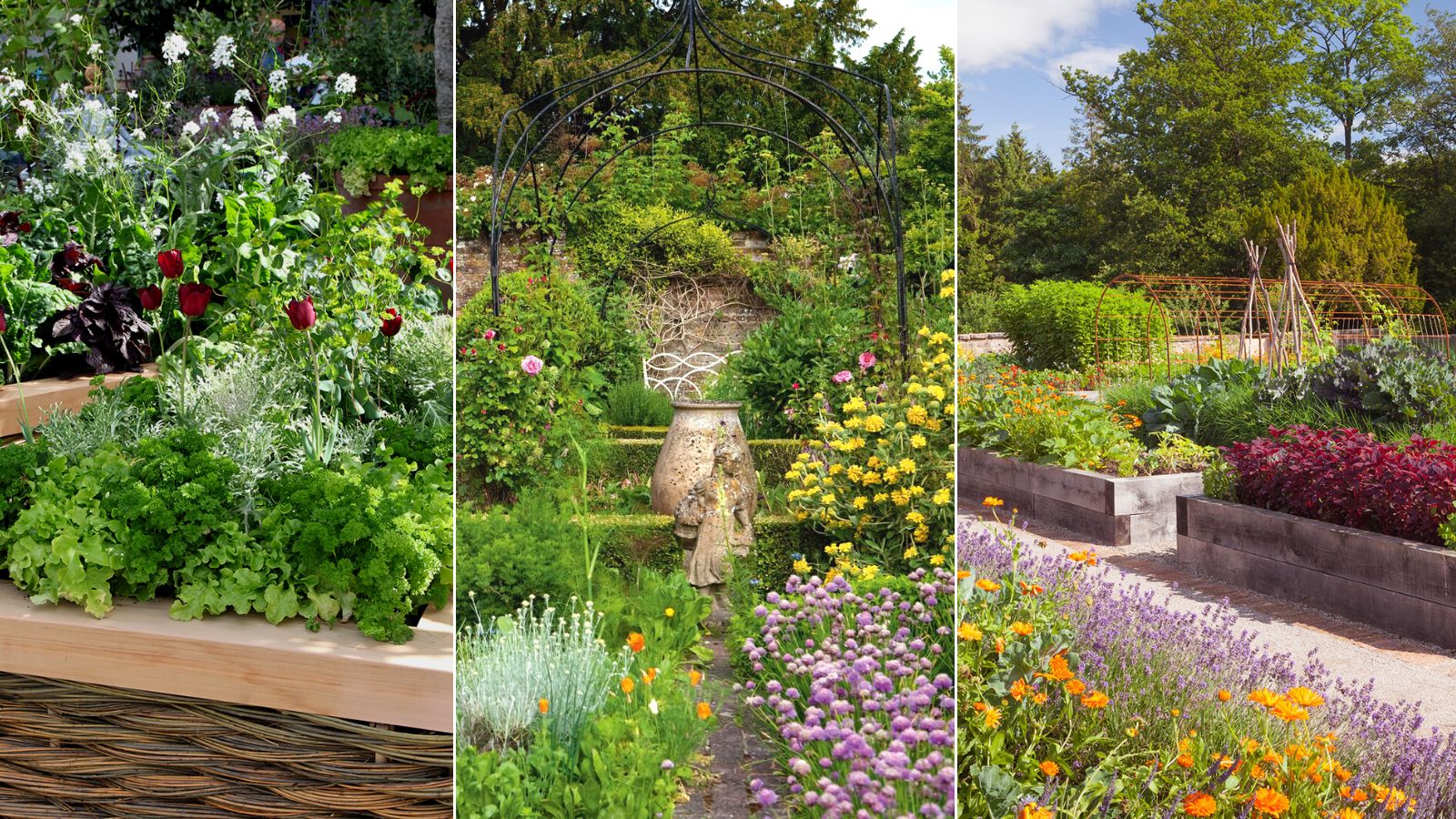 10 Edible Plants with Texture, Color and Fragrance in the Garden
