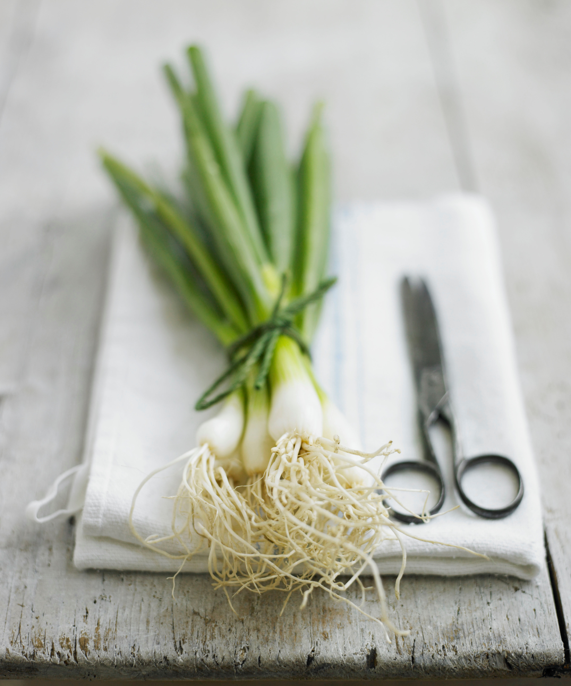spring onions bunched on a table with a pair of scissors