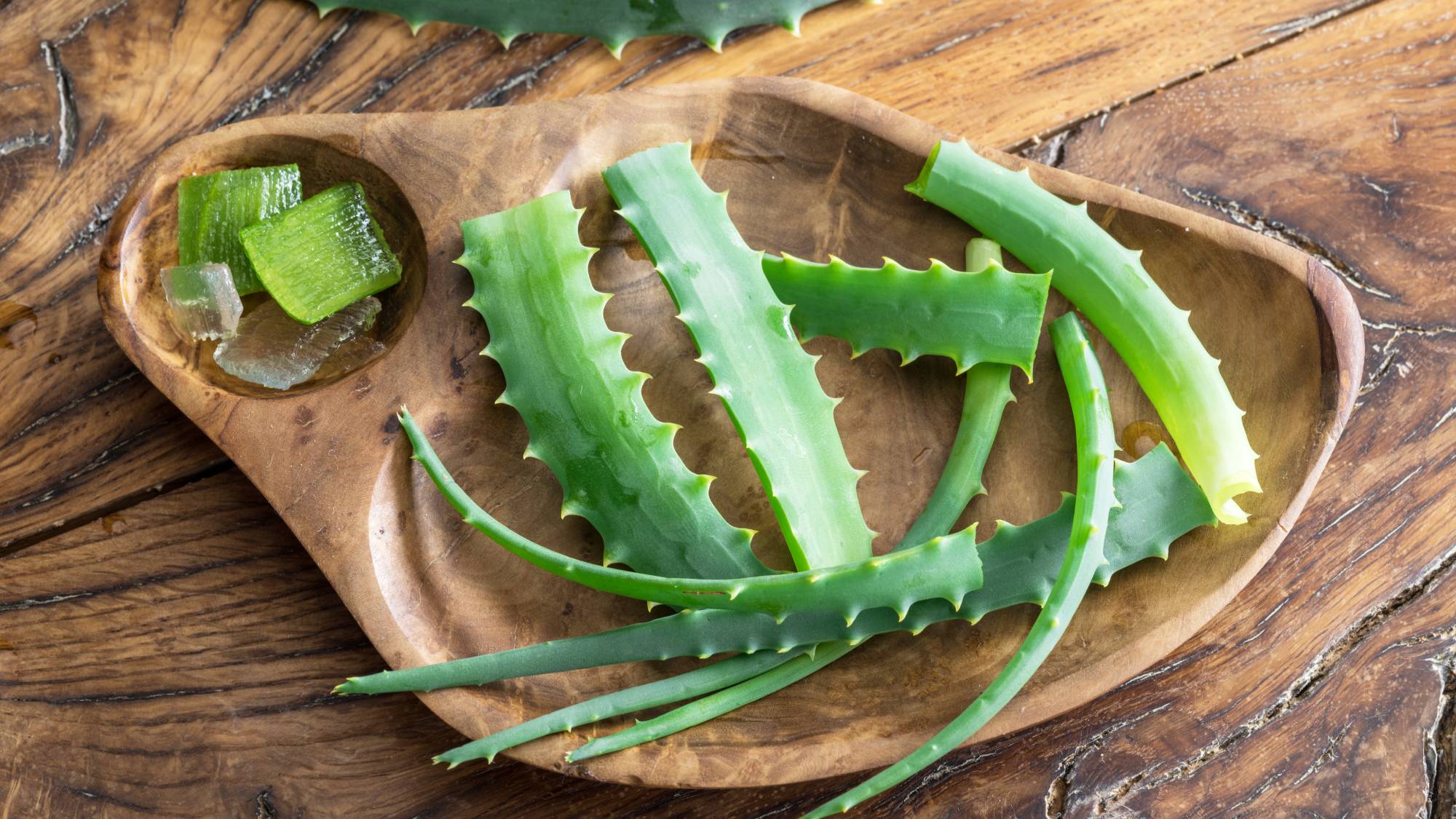 Slices of aloe vera leaves on a wooden plant with cubes of gel