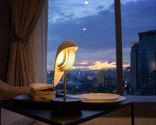 Chirp Alarm Clock & Wake Up Light in front of window showing sunrise