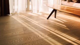 Sun straming into a living room onto laminate wood effect flooring.