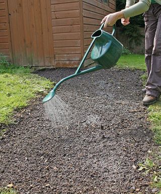 watering grass seed for a new lawn