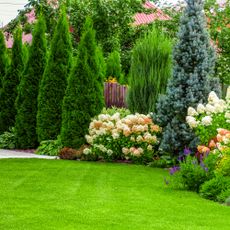 well-kept landscape with fence and shrubs