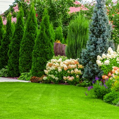 well-kept landscape with fence and shrubs